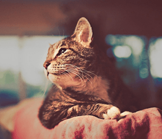 學(xué)習(xí)CAD！每天五個(gè)小技巧！這個(gè)系列趕快收藏！